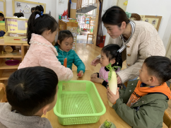 祥和园大班年级组清明项目活动新闻稿_html_m263c529b.png