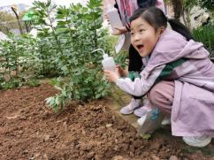 20210531祥和园种植团新闻_html_m55b4c48.jpg