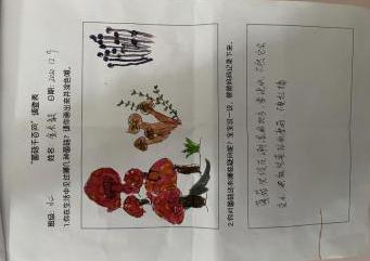 年级组动态_html_574f45cc.jpg