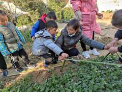 20201224祥和园区种植团_html_11afd21e.jpg