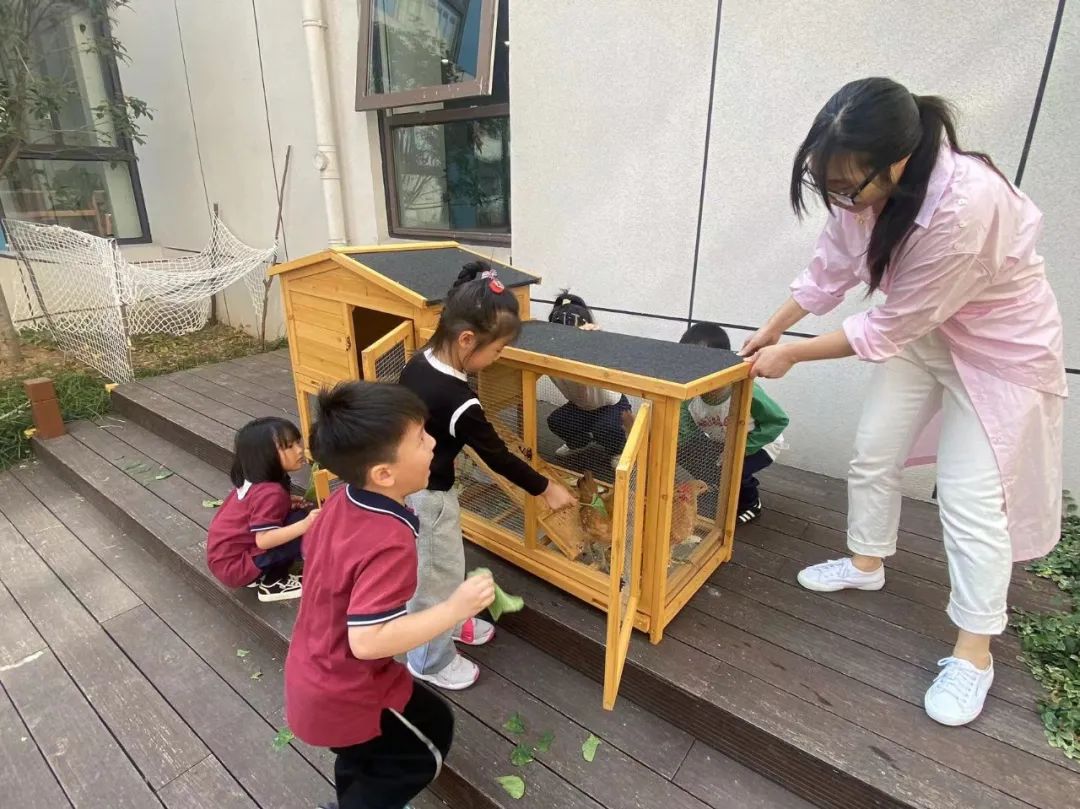 20231016 【生活燕幼·园区动态】燕鸣苑分园：“童心童智 童议童趣”——小桃子议事会第七次会议_html_21aa8bb.jpg