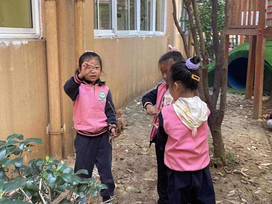 【生活燕幼·园区动态】下庙分园：“时逢霜降至，童趣满深秋”——霜降节气活动_html_m30bc8cd3.jpg