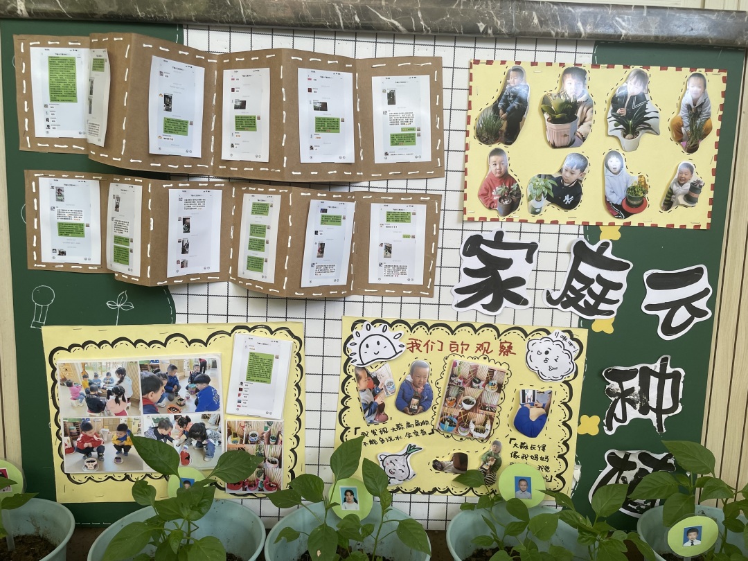 20220614【园区动态】下庙园区：“播种希望 收获成长”——班级种植墙评比活动新闻稿_html_657d5194.jpg