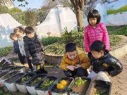 20230224燕幼中心园：新学期，新变化_html_mfdc826f.jpg