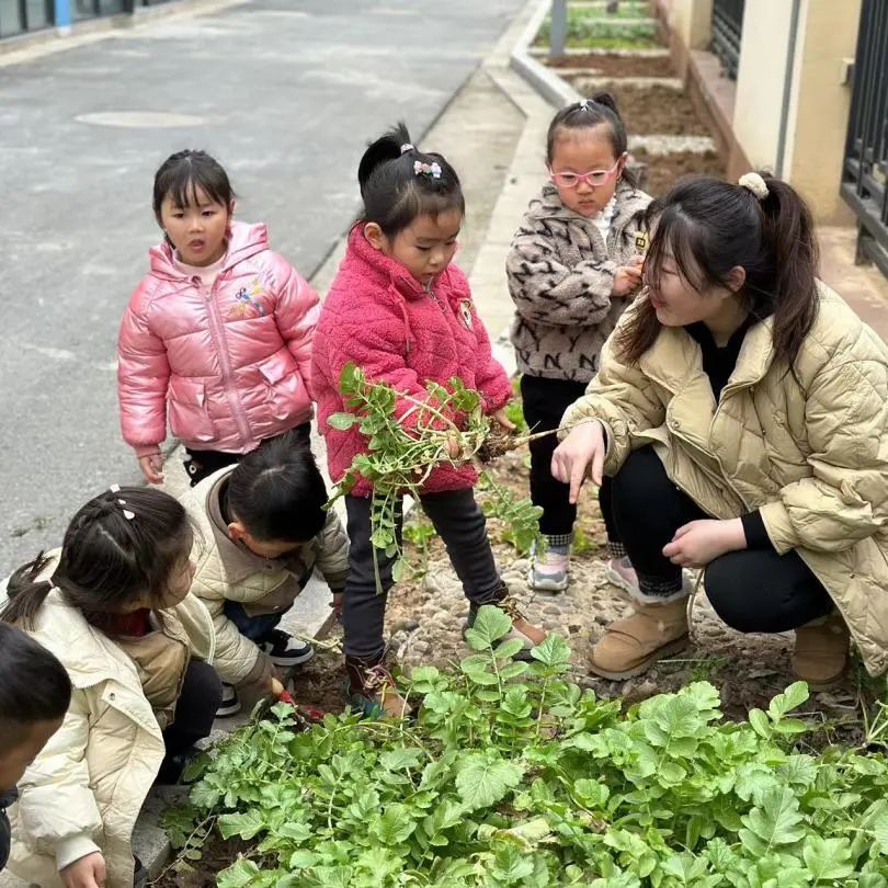 20230217【生活燕幼&middot;园区动态】燕鸣苑分园：一朝春雨 万物清明——雨水节气活动_html_4cc6a0f0.jpg