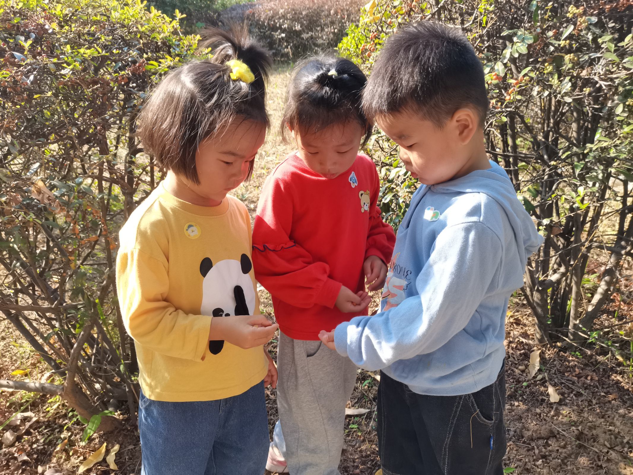 【生活燕幼·年级组动态】下庙分园：“走进公园，收集秋意”——小班组社区活动(1)_html_143559fc.jpg