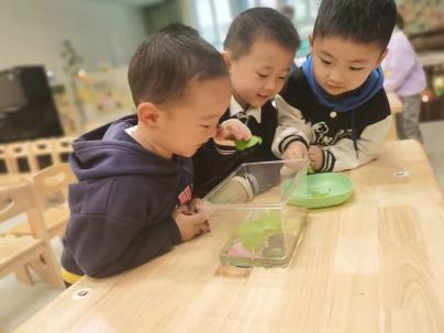 【生活燕幼&middot;教科研动态】 潜心教研　共促成长——科学组公开课教研活动_html_m1ba2ed06.jpg