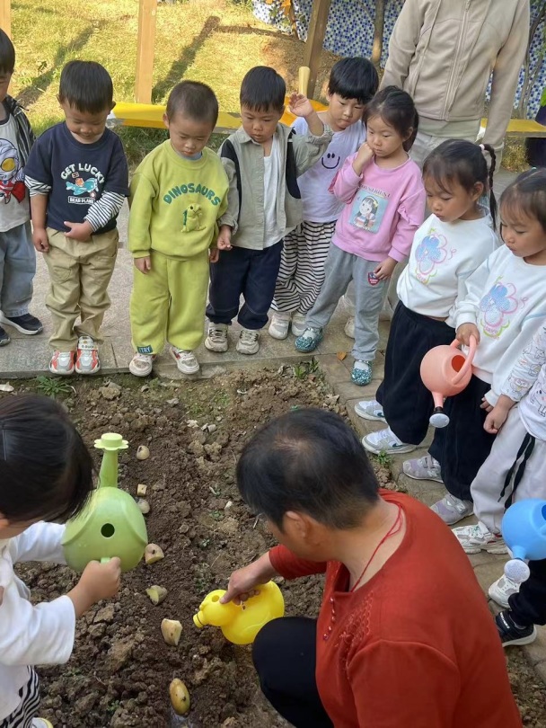 【生活燕幼·年级组动态】下庙分园：“拾秋季，探种植”——小班组种植团活动(1)_html_m41c7c2e9.jpg