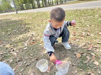 20250408 【生活燕幼·园区动态】燕鸣苑分园：“不负春光，趣享成长”——春游活动_html_m310b8444.jpg