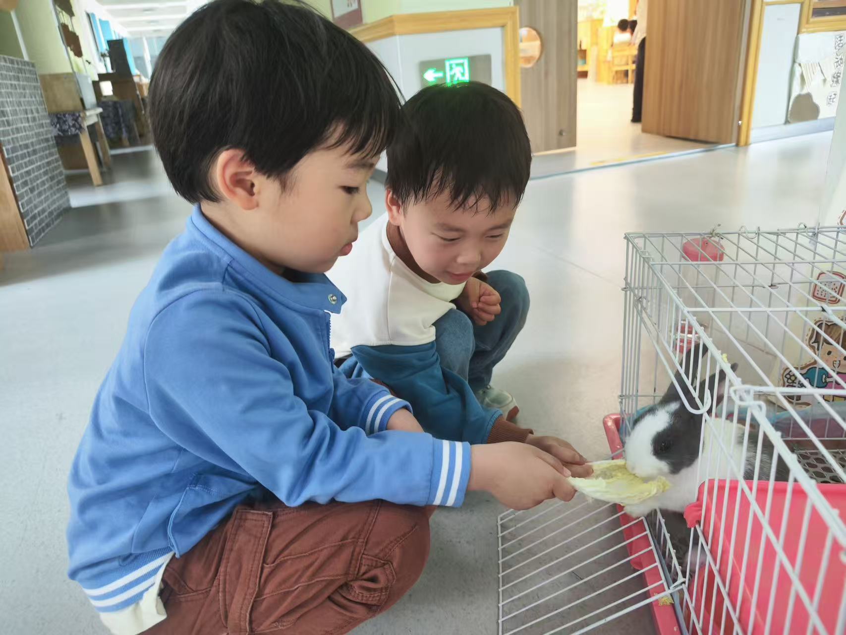 20250509【生活燕幼·园区动态】燕鸣苑分园：“‘劳’有所为 马上行‘动’”——劳动节活动_html_6fdcd092.jpg