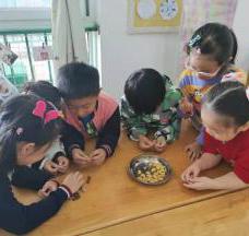 祥和园大班项目课程种植蚕豆新闻稿(1)_html_1c4a997f.jpg