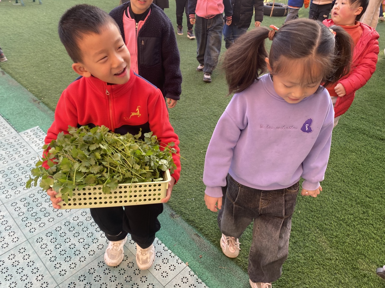 20231208【生活燕幼·年级组动态】下庙分园：“家长乐参与，幼儿趣种植” ——大班种植团活动_html_m6205a630.jpg