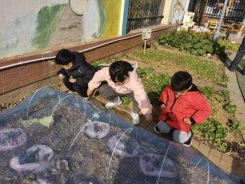【生活燕幼·园区动态】下庙分园：“大雪至，寒冬始”——大雪节气活动_html_2a14309b.jpg