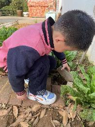 2023.03.09燕幼中心园 大二班 惊蛰节气活动_html_m22d488cc.jpg