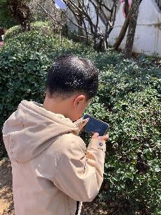 2023.03.09燕幼中心园 大二班 惊蛰节气活动_html_m2ac2733b.jpg