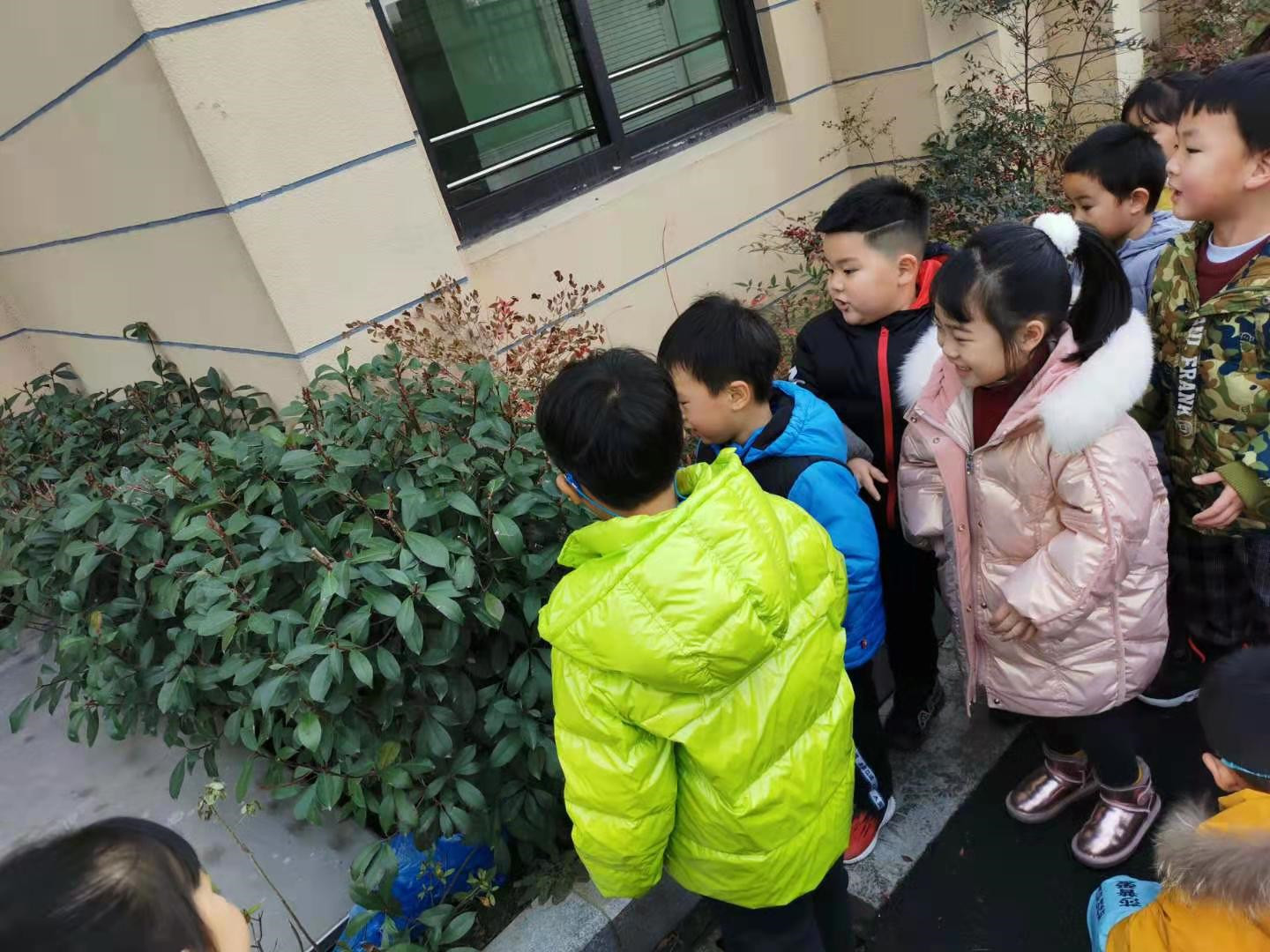 图片 3_5.jpg