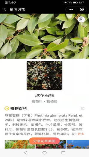 图片 151.jpg