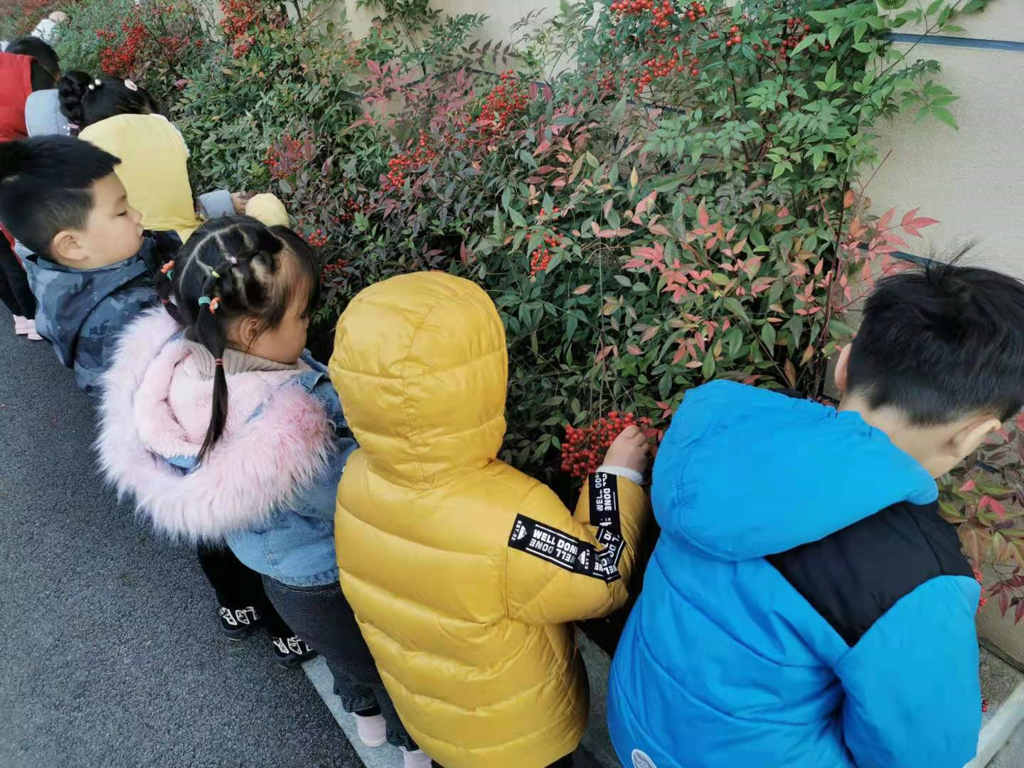 图片 2.jpg