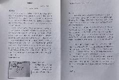 20230516燕幼中心园画中有话评比活动_html_m3e601c29.jpg