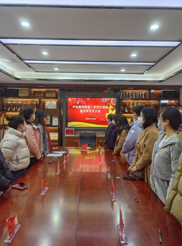 【养正颐小·党建】凝心聚力担使命，奋楫扬帆再启航 ——中电颐和家园小学党支部换届选举大会报道