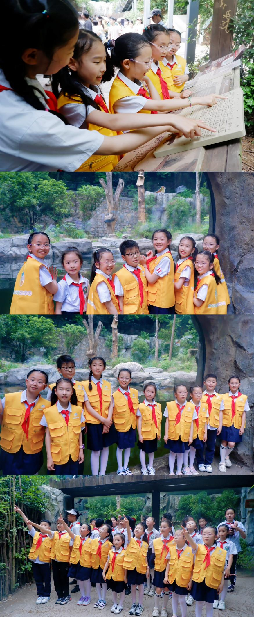 图片17.png