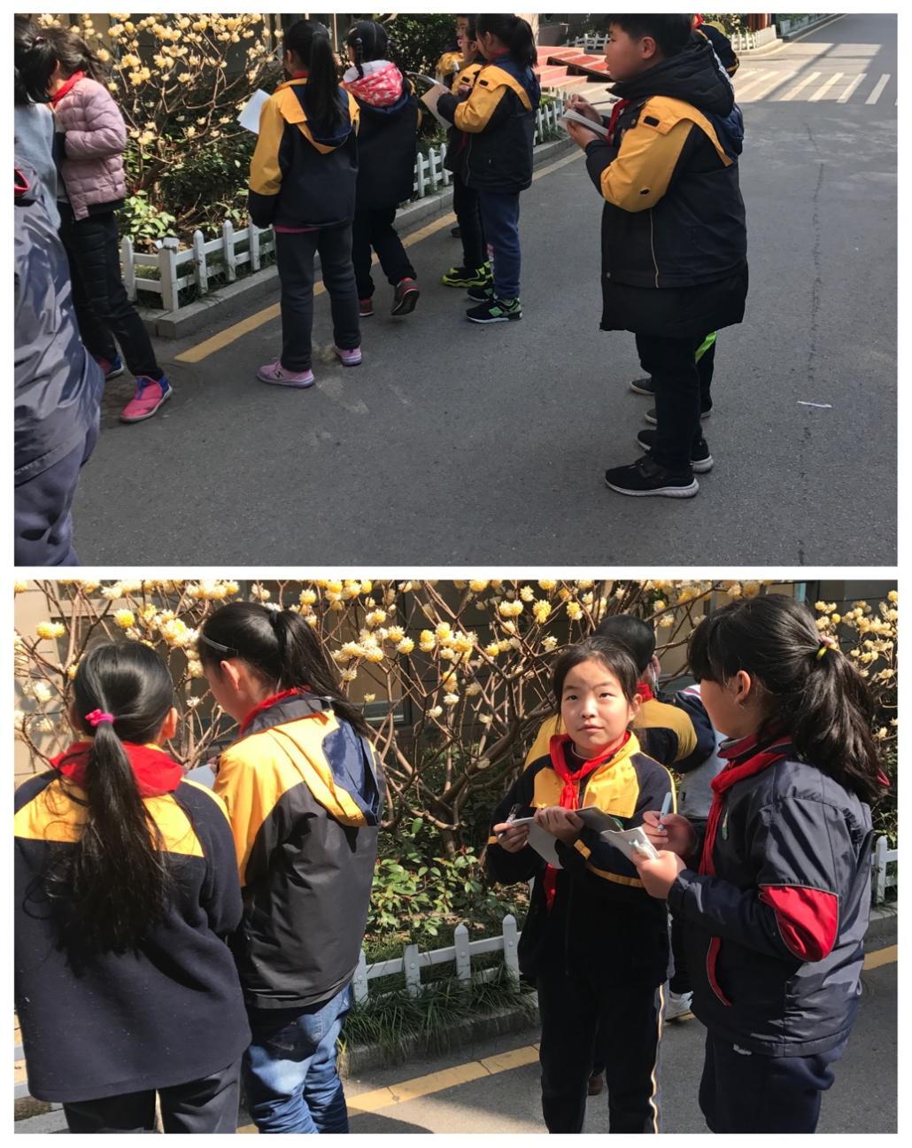 用爱启智 逐光前行——印丽萍_html_789d344d.jpg