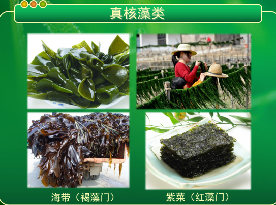 新闻稿_html_3f68f376.png