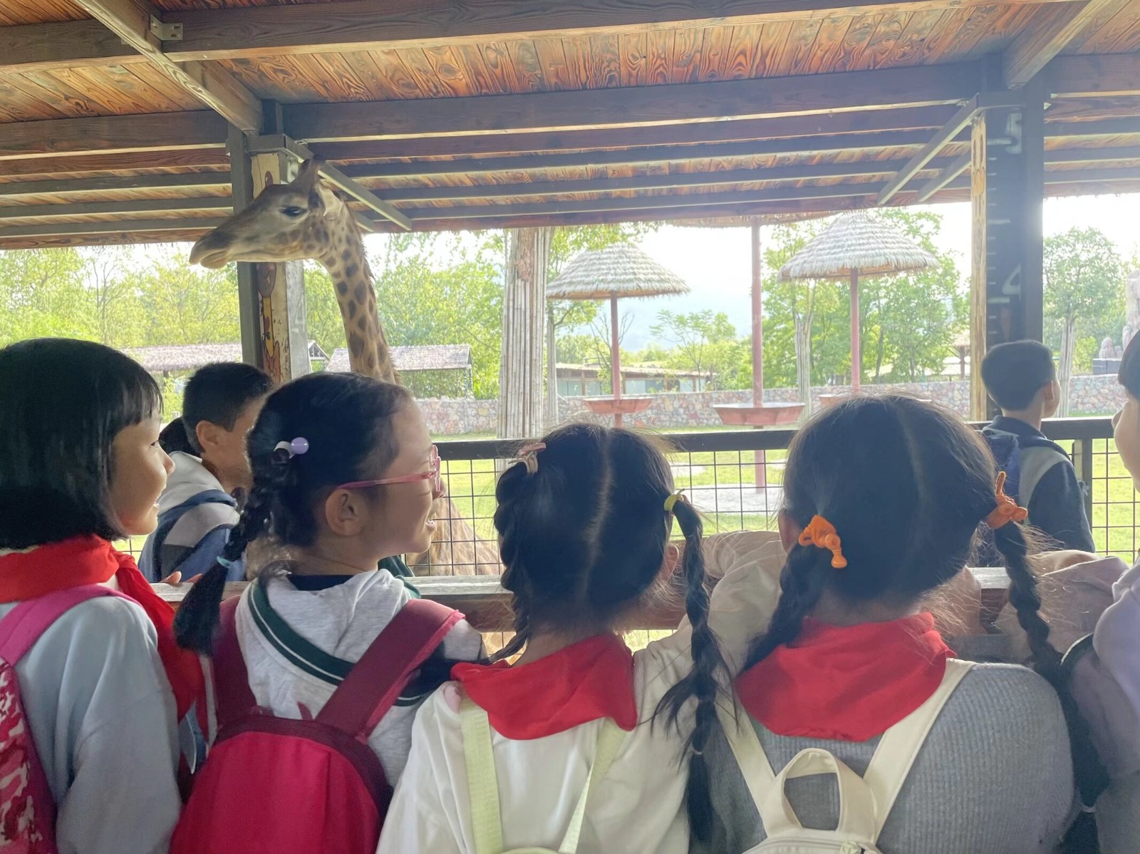 一二年级 (14).jpeg