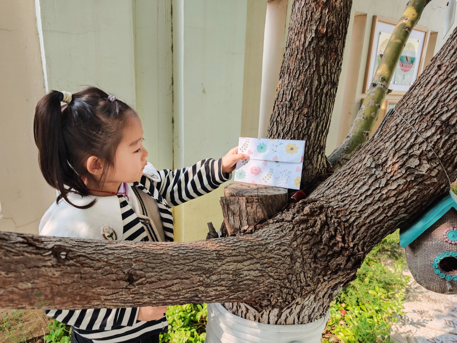 IMG_20251114_113732.jpg IMG_20251114_113732.jpg