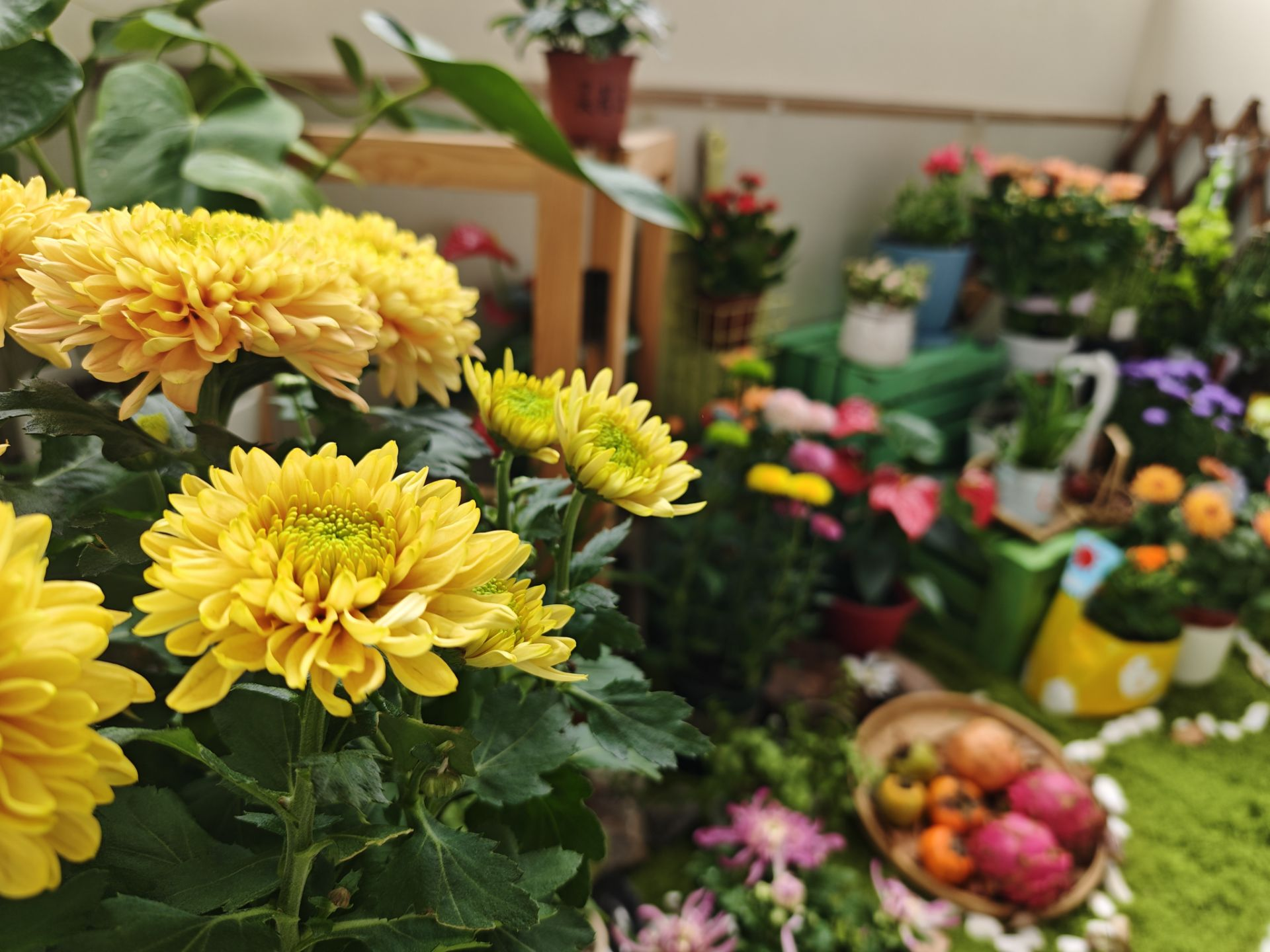 图片2.png 图片2.png