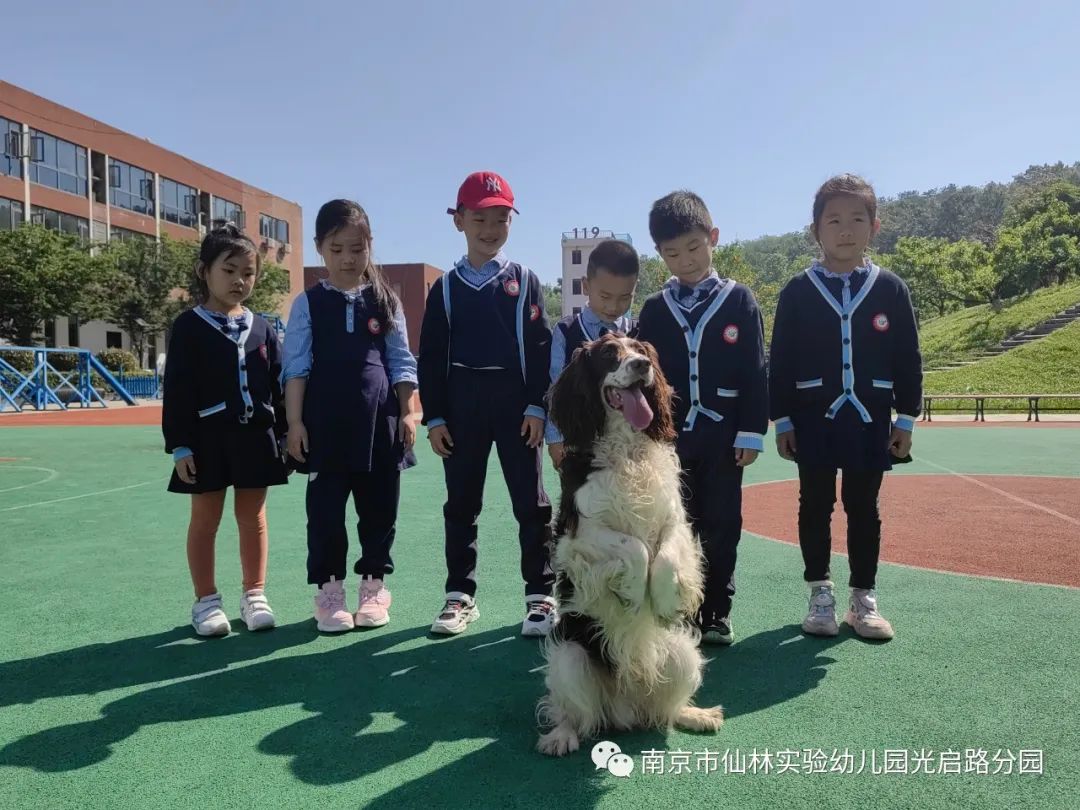光启_html_350c2183.jpg