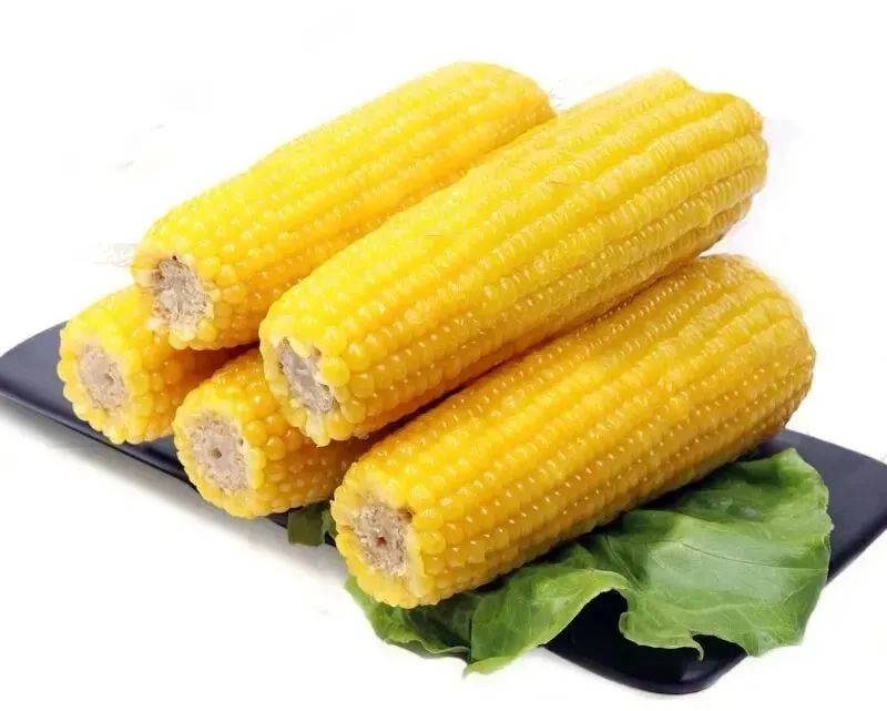 玉米.jpg