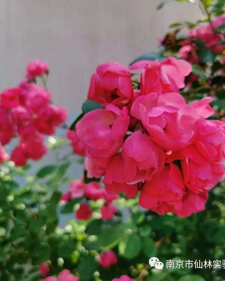 光启_html_45198767.jpg