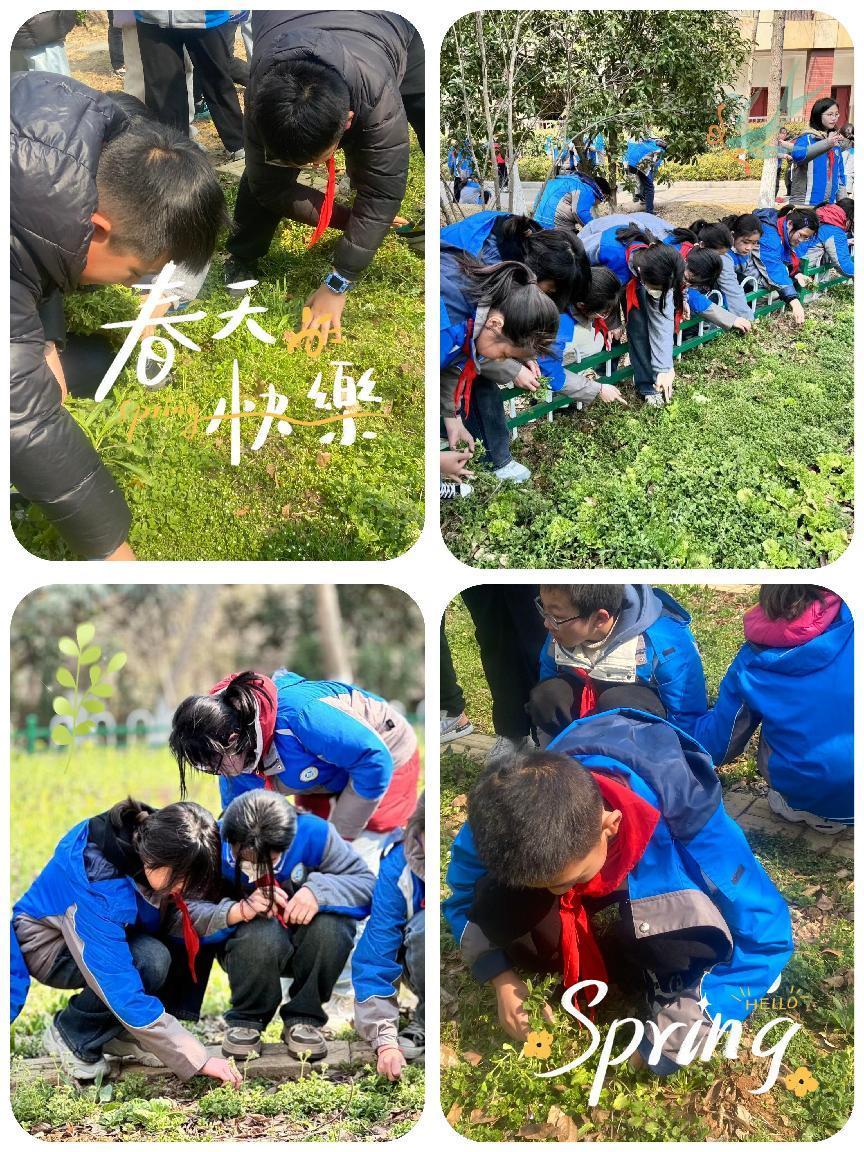 2024.3.11.-支丽娟-弘扬雷锋精神，护绿环保我先行_html_m410209f9.jpg
