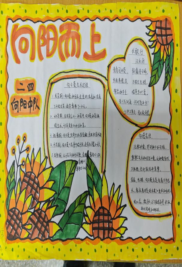 我为班级选班植语文实践活动报道_html_51b18d8d.jpg