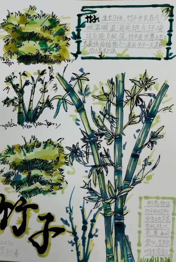 我为班级选班植语文实践活动报道_html_m2c1bdd9b.jpg