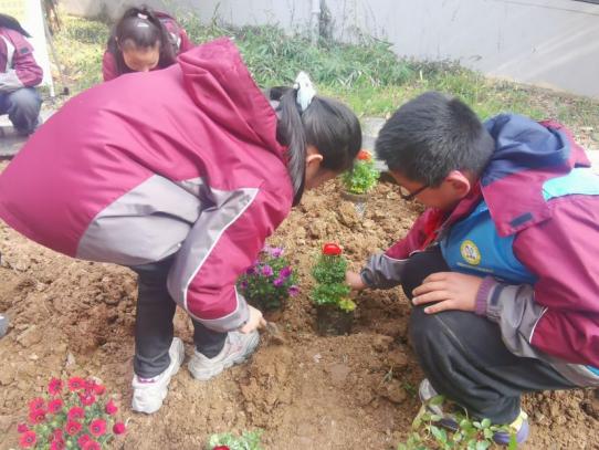 20240312五3中队植树节活动报道_html_53d79505.jpg