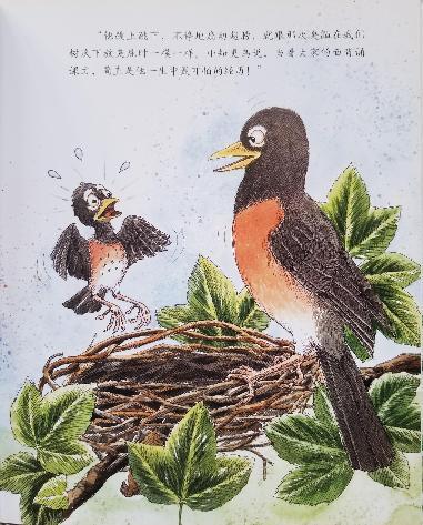 南湾营小学图书馆2023年9月好书推荐_html_m6ce9dfd9.jpg