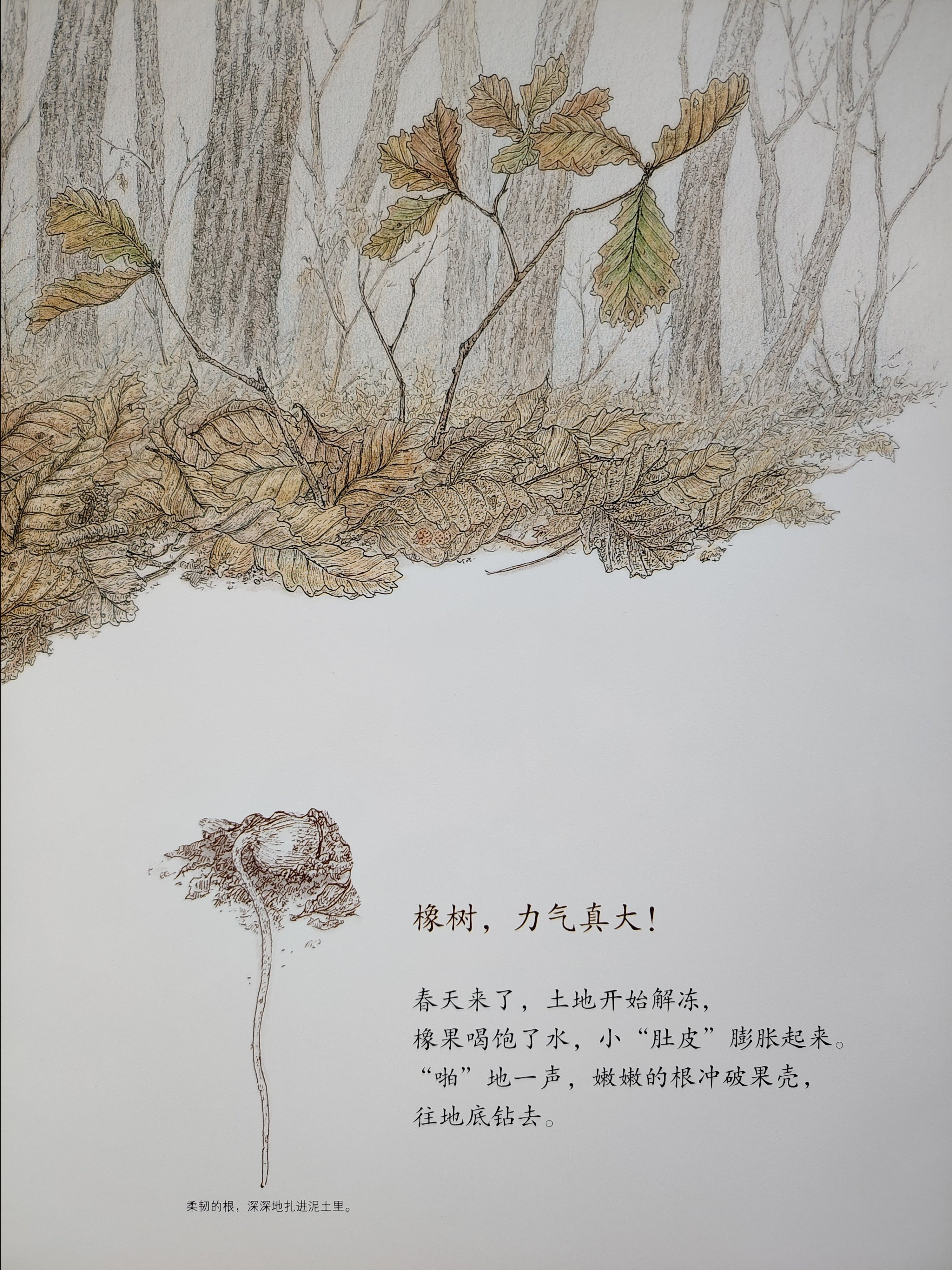 南湾营小学图书馆2025年6月好书推荐_html_78501755.jpg