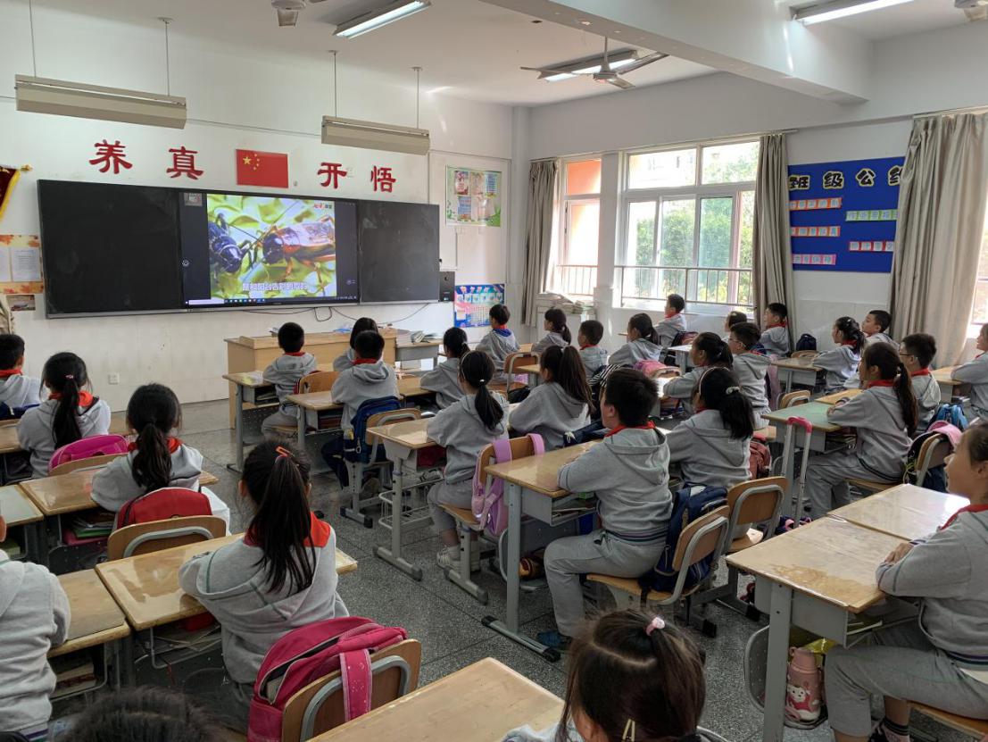 美文诵读 点亮校园_html_m6a5575b6.jpg
