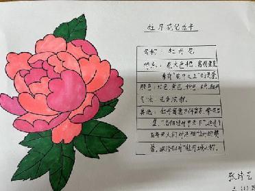 植物记录卡 亲近大自然_html_694e7579.jpg