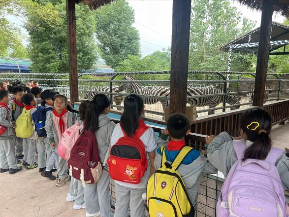 20241016秋游报道_html_39bc23df.jpg
