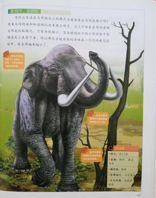 南湾营小学图书馆2023年6月好书推荐_html_5e3d3843.jpg