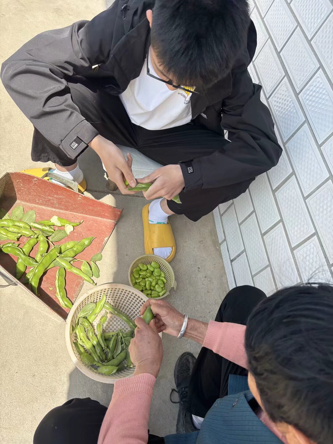 【绿色华中·至美德育】劳有所得 动见美好：南京仙林外国语学校华侨城中学五月劳动教育月活动纪实