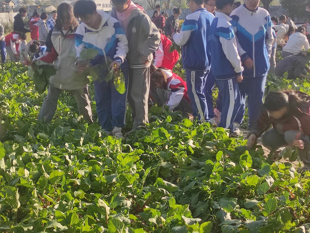 10月心理讲座新闻稿_html_62b61d08.jpg