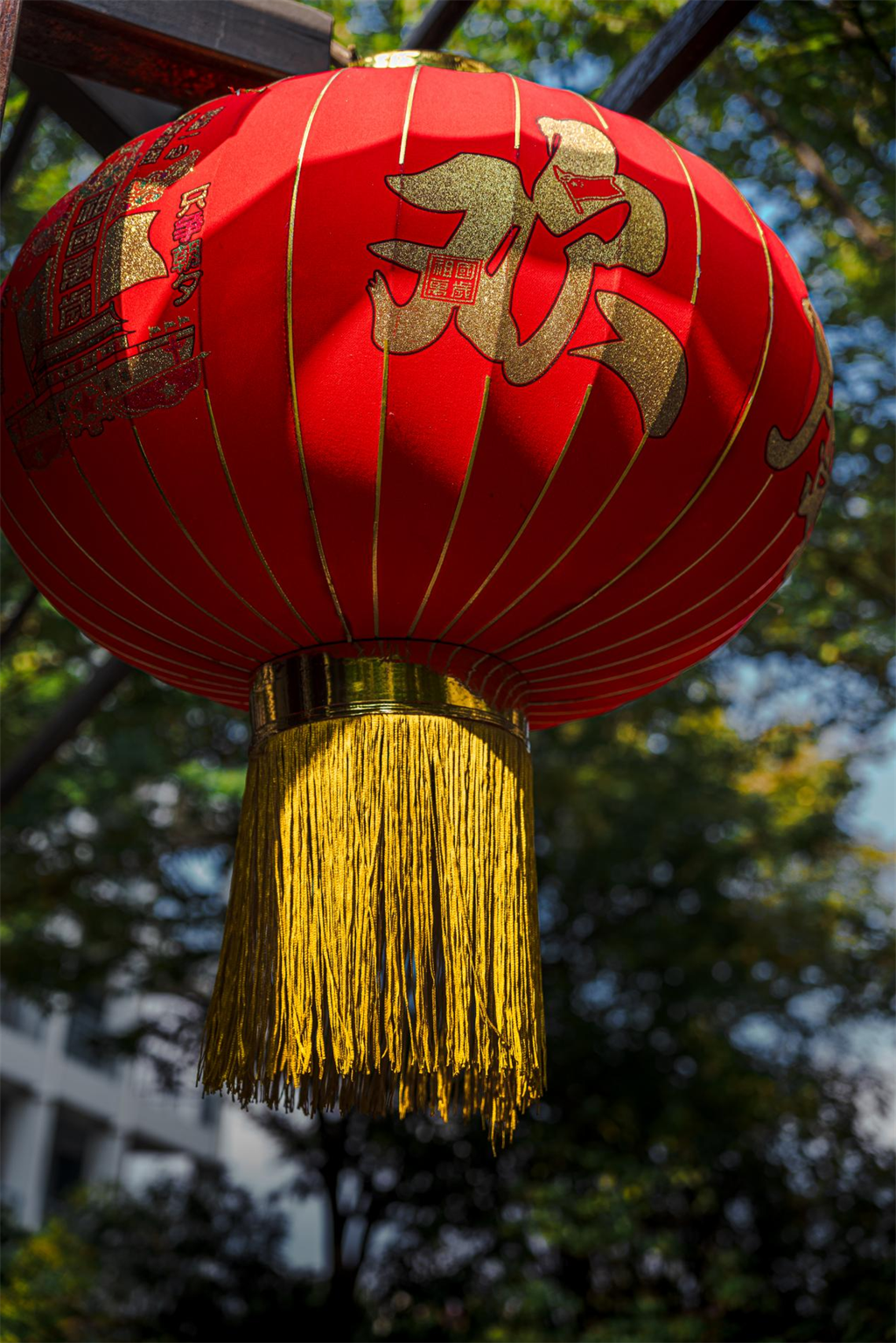 图片 13.png