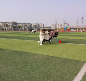 【知行晓庄】激情从未减，你我皆少年——南京市晓庄小学教职工趣味运动会