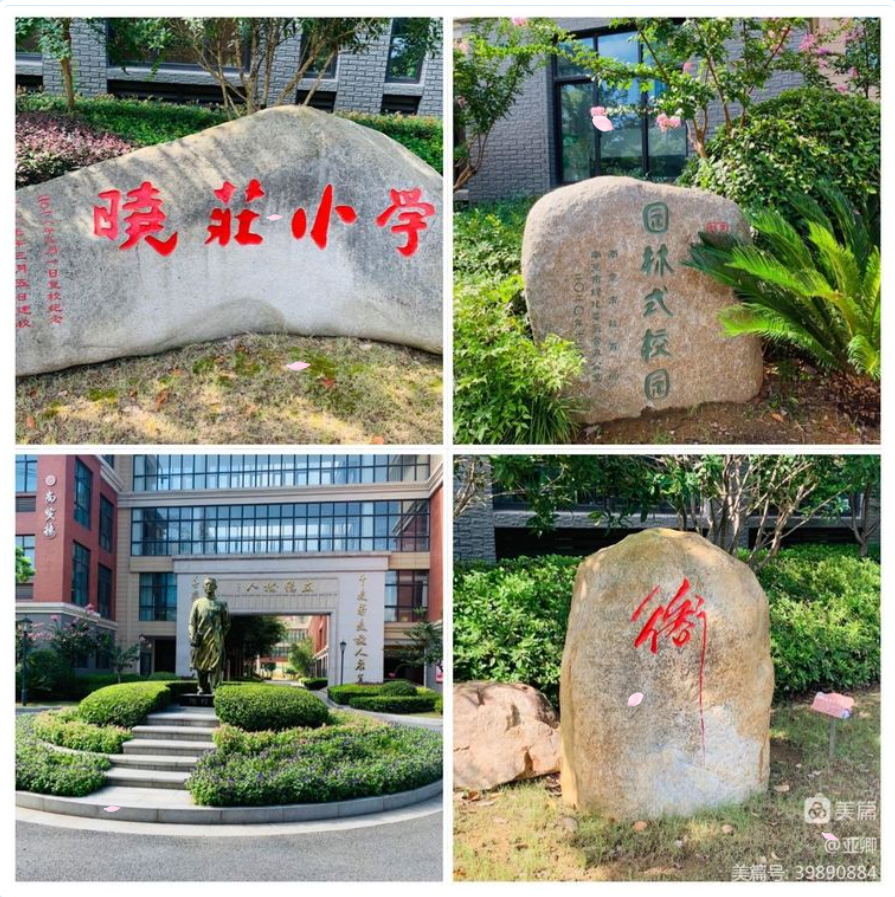 【金立义名师工作室】走进名校名师 感悟简约语文  ——金立义工作室接待福建省泉州市丰泽区小语骨干教师高研班