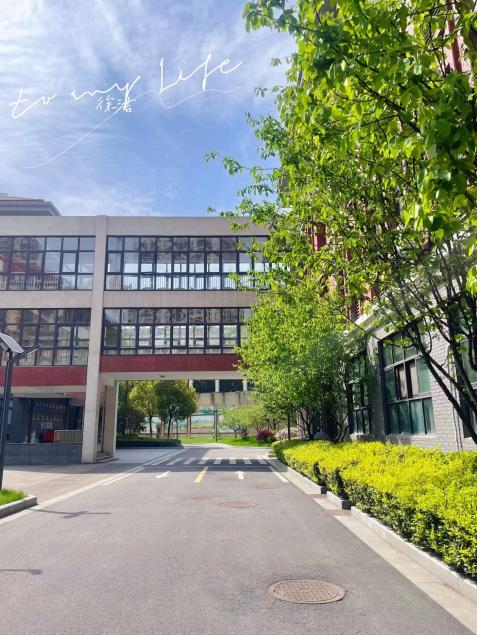 【知行晓庄】春色满园关不住——晓庄小学校园摄影大赛系列活动一