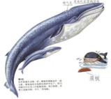 20240329长程作业5851.png